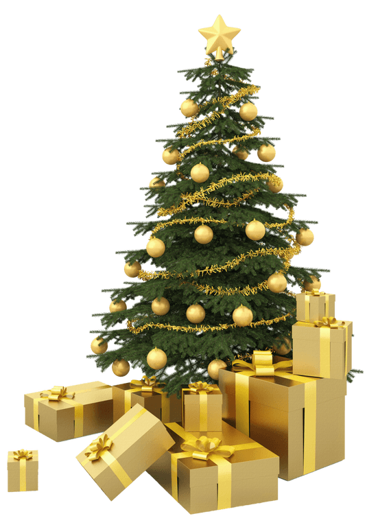 A small Christmas tree graphic used as decoration on the Christmas photos page.
