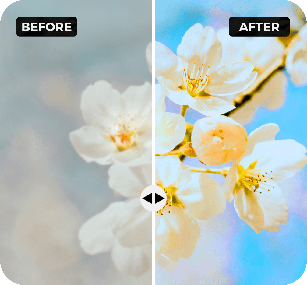 Free AI Photo Enhancer: Improve Image Quality