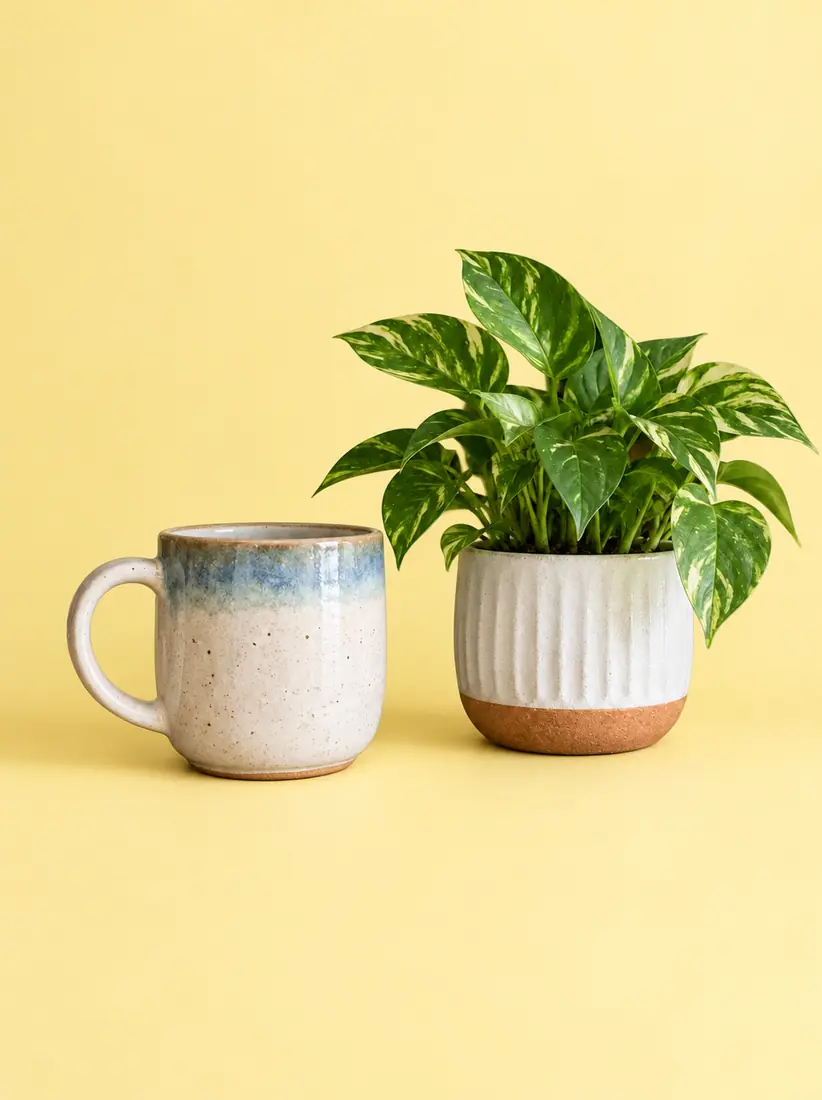 A ceramic mug and a potted plant sit against soft pastel yellow, isolated by the Yellow Background changer.