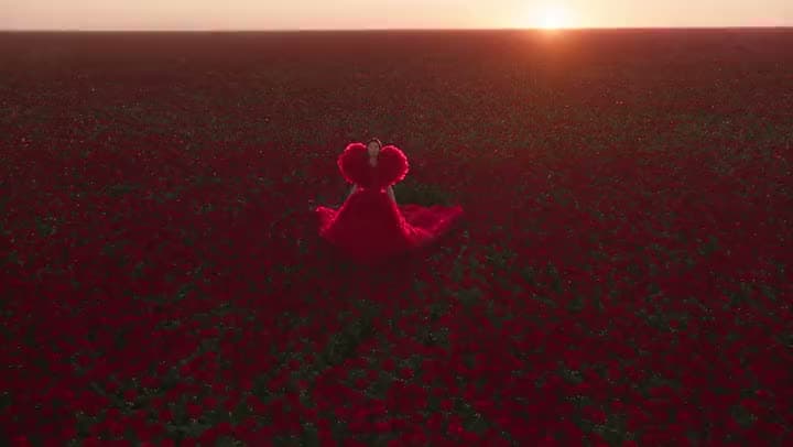 An AI fashion video of a woman in a voluminous red gown standing alone in a vast field of red flowers at sunset.