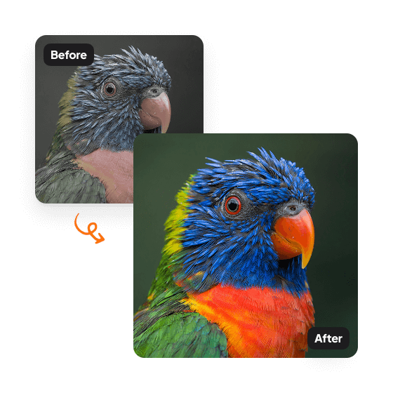 A sample result from the Color Correction tool, previewing an improved photo.