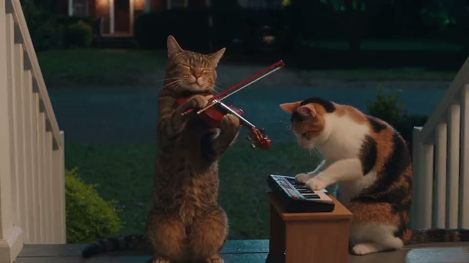 An AI video of a tabby cat playing a red violin beside a calico cat pressing keys on a small keyboard on a front porch at dusk.