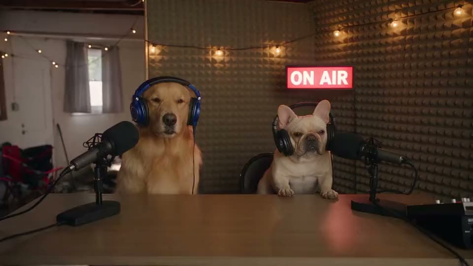 An AI video of a golden retriever and a French bulldog in headphones at podcast mics beneath a red "ON AIR" sign.