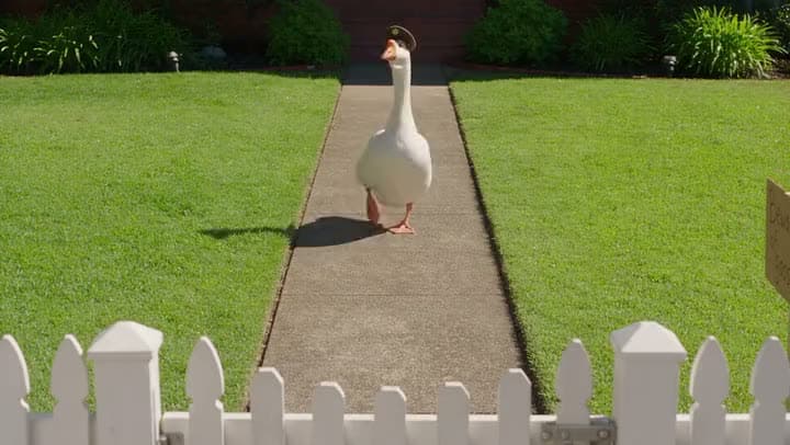 An AI video of a white goose in a small police cap waddling down a garden path toward a white picket fence.