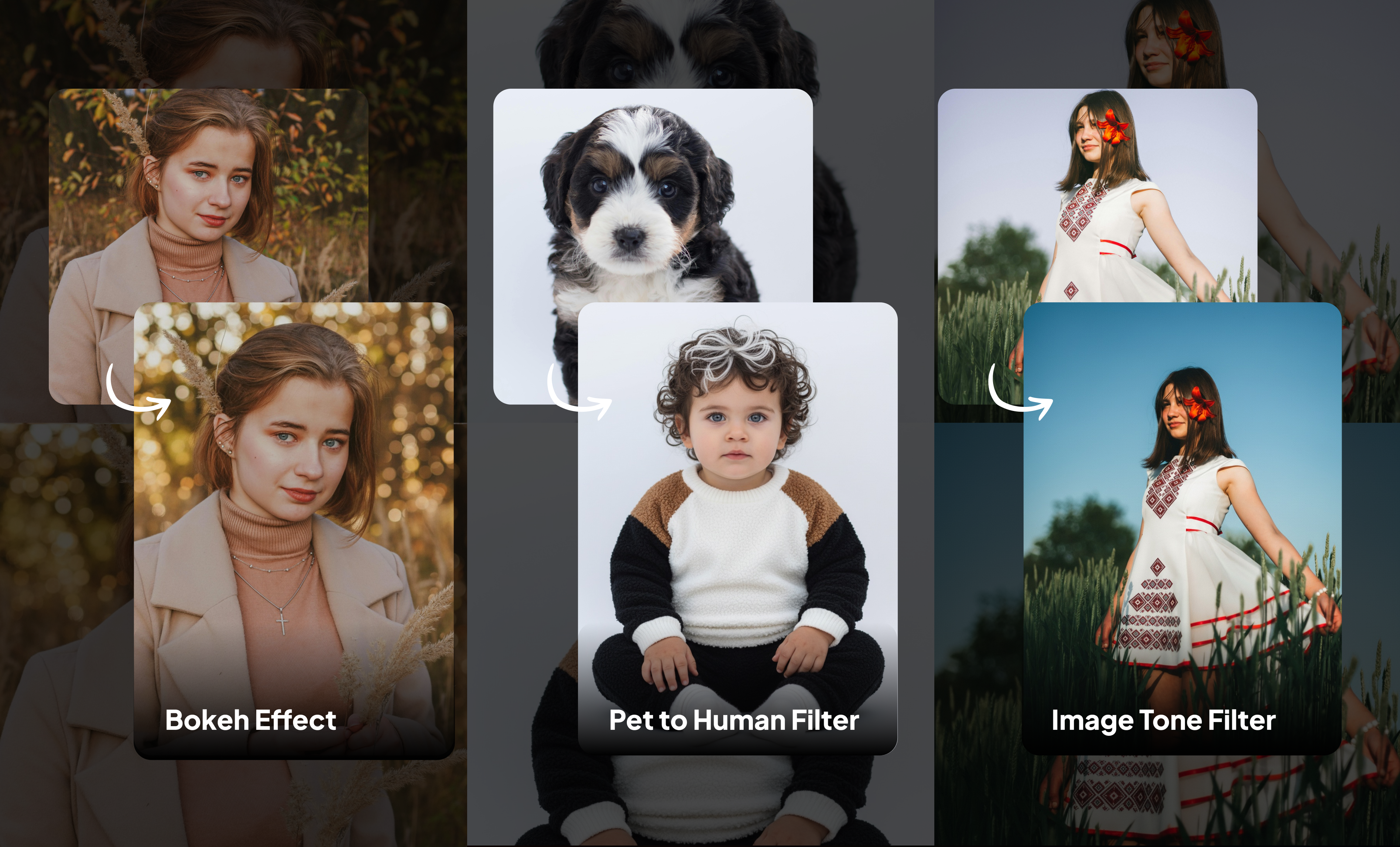 New AI Editor Tools: Bokeh Effect, Pet to Human Filter, Image Tone Editor Frame 2608774.png