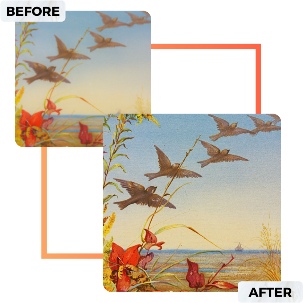 Free Image Enlarger Tool Aragon ai free-image-enlarger-tool-aragon-ai